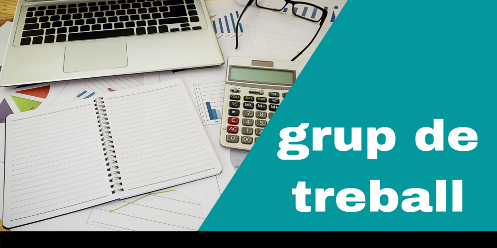 Imagen para los medios: Pressupostos Participatius